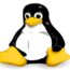 Linux Penguin