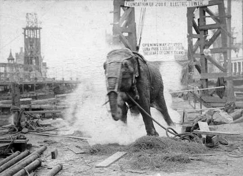 January 4, 1904: Thomas Edison Electrocutes an Elephant